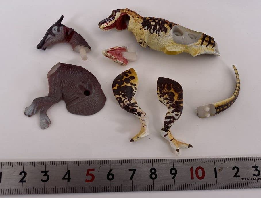 Amazon | ダイノテイルズ DINOTALES チョコラザウルス 第4弾 タルボ