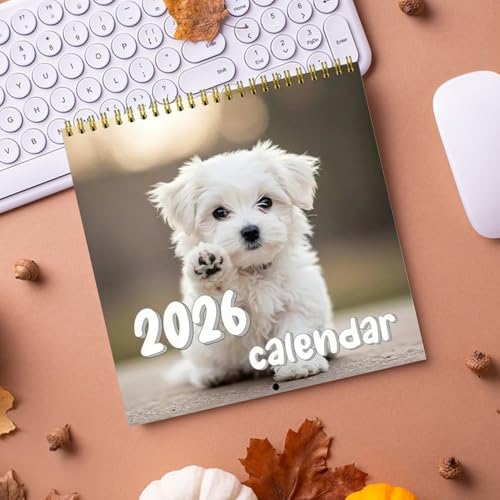 pǊ|J_[ ZZN - Ǌ|vi[J_[ | ƑFl  t ʃXPW[ rO[ fXN ItBX wZpfBXvC