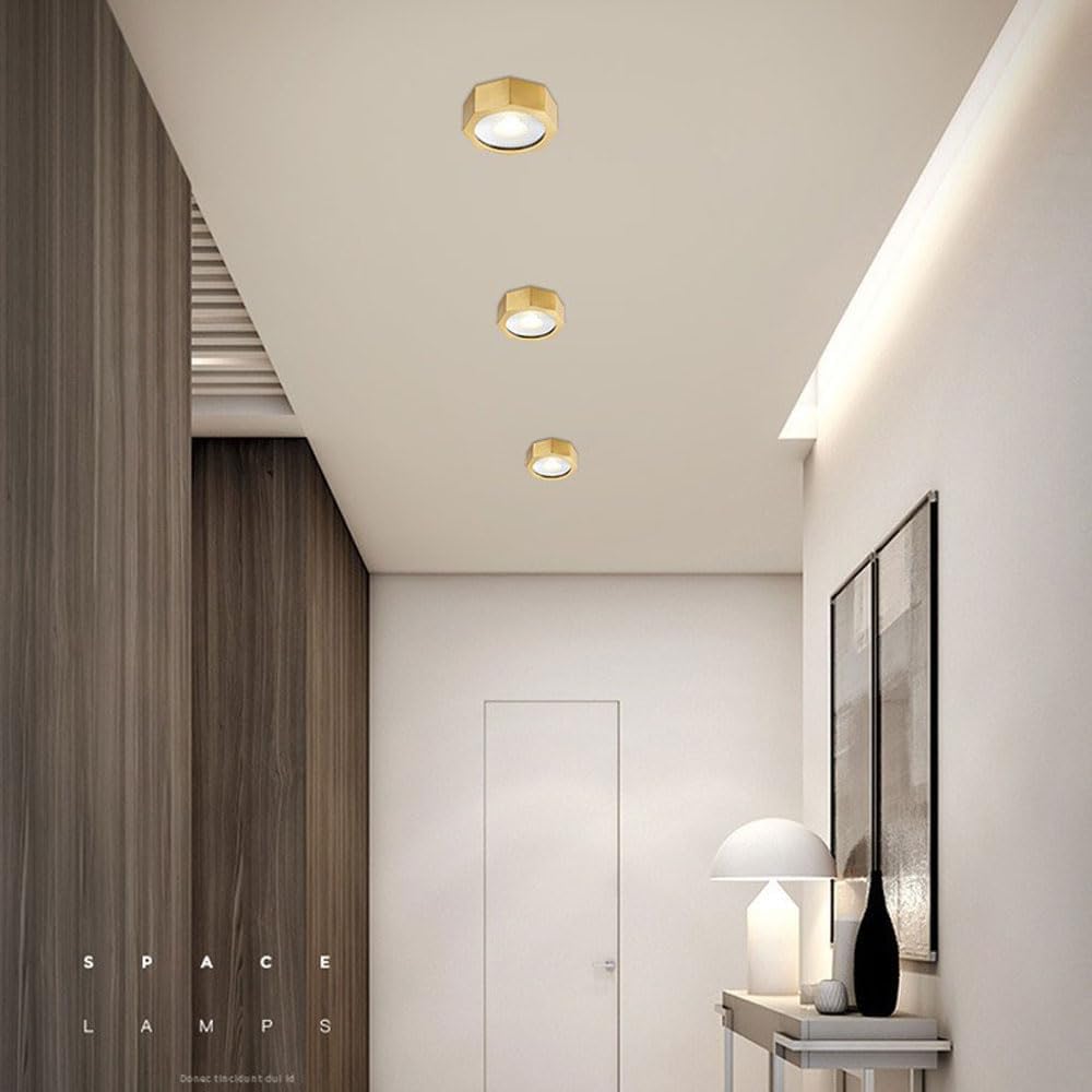 Cylinder Cob Spotlight Surface Mounted Corridor Downlight 5W Brushed Brass Spot Light Fixture Daylight Retrofit Downlight,Eyeball Retrofit Spotlight
