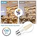 Ascher 60 Watt Equivalent, E26 LED Filament Light Bulbs, Warm White 2700K, Non-Dimmable, Classic Clear Glass, A19 LED Light Bulb with 80 CRI, Pack of 6