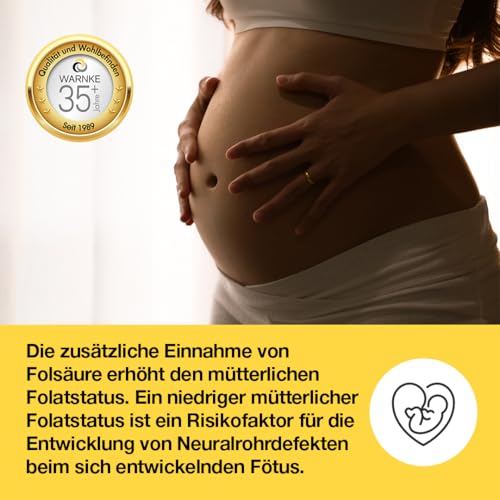 Folsäure 800µg - 100 Tabletten - schluckfreundlich - vegan & hochdosiert - Folic Acid - Vitamin B9 | Warnke Vitalstoffe - Deutsche Apothekenqualität
