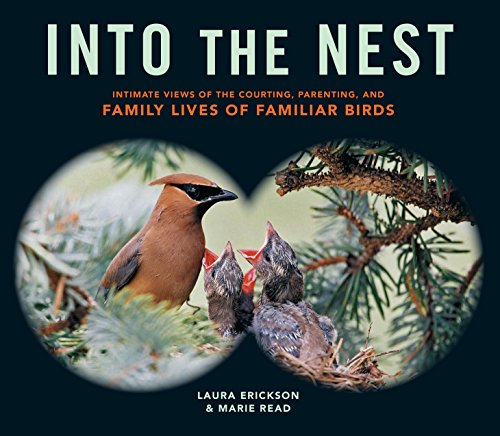 Into the Nest Intimate Views of the Courting Parenting and Family Lives of Familiar Birds Paperback–April 21 2015