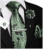 JEMYGINS Paisley Stickerei Design Krawatte Set Herren Einstecktuch Krawattenklammer Manschettenknöpfe Ansteckblume für Hochzeit Party Business Mehrfarbig Graugrün