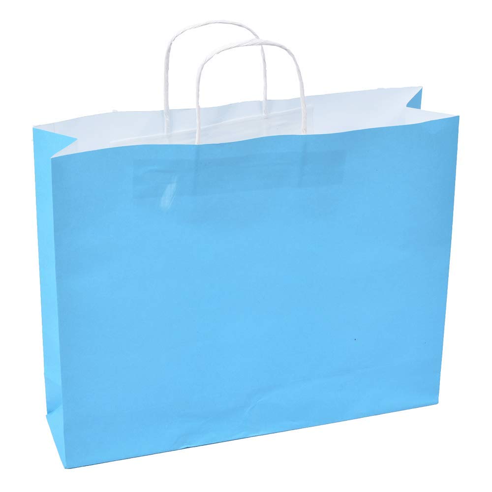 Sapco Paper Bag for Gift Carry, Marriage, Birthday Gift, Pack of 10 (Solid Blue) (B08JYF62F2) Amazon Price History, Amazon Price Tracker