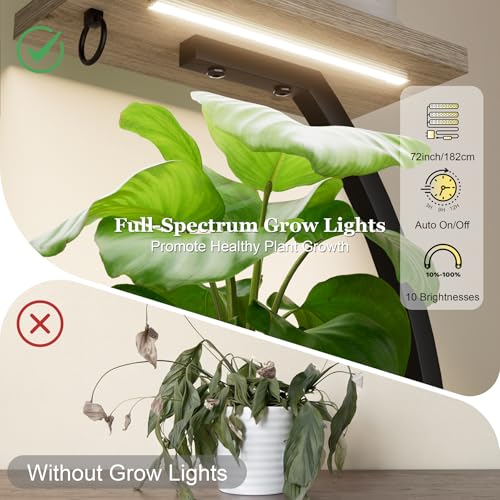 Image of BACEKOLL Plant Stand Indoor with Grow Light - 2 Pack Tall Indoor Plant Shelf, 62 inch Corner Plant Holder, 8 Tiered Large S-Shape Flower Multiple Display Shelf for Home, Grey