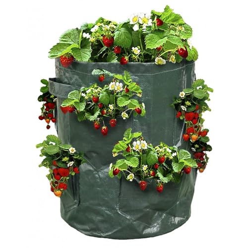Ose Sac à fraisiers - Sac de Plantation pour Fraises - X2 Vert