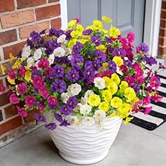 Puerple,light Purple,yellow,white