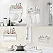 Carry360 Adhesive Paper Towel Holder Shelf,Wall Mounted Paper Towel Roll Rack Basket for Kitchen,Shower Bathroom & Balcony,Rustproof,No Drilling,SUS 304 Stainless Steel