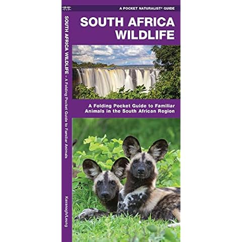 South Africa Wildlife: A Folding Pocket Guide to Familiar Animals in the South African Region (Wildlife and Nature Identification) Cover