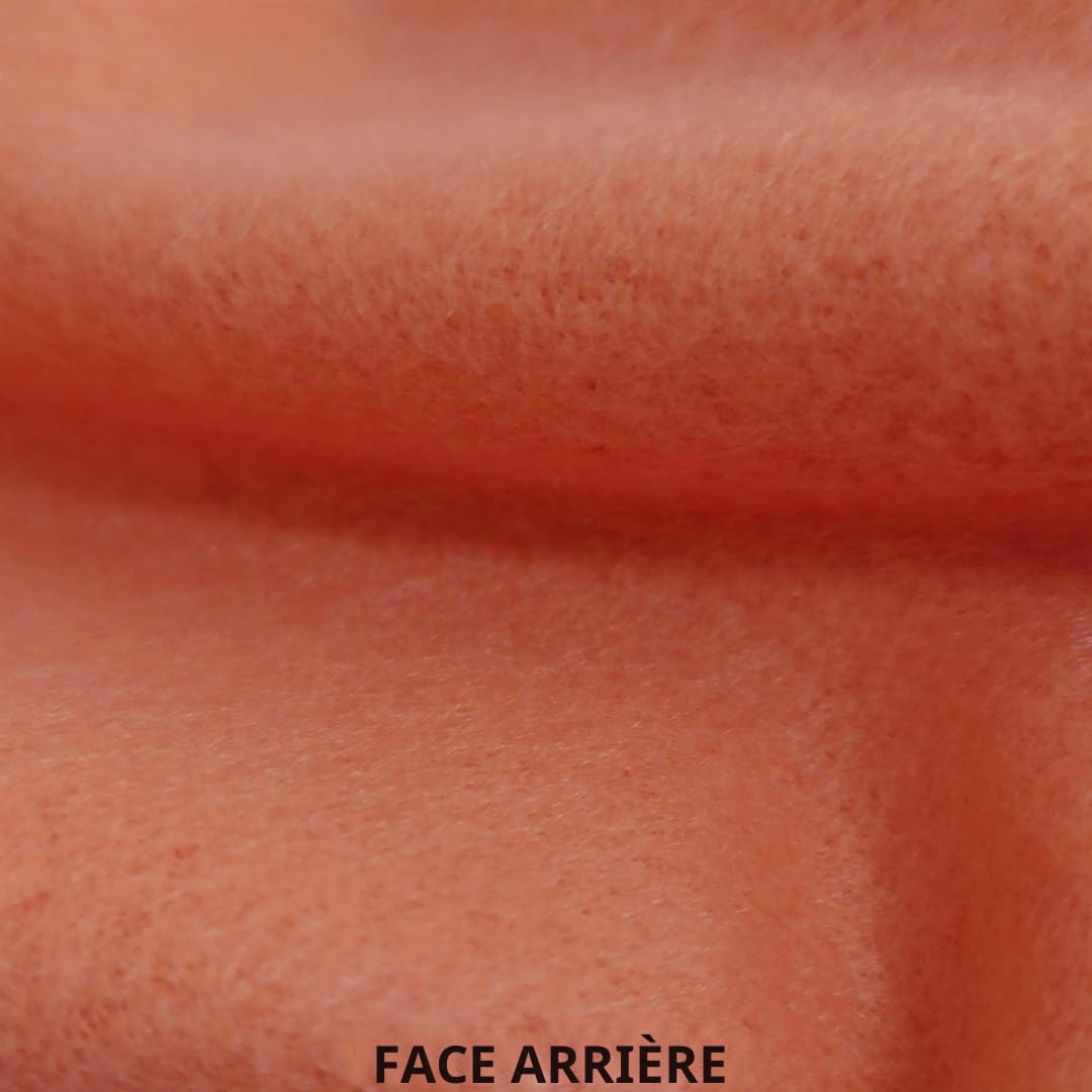 Atout Ciel Rideau Thermique doublé Polaire Ton sur Ton à œillets 140x240cm prêt a Poser, Terracotta (Lot de 2)
