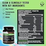 BODi Recover Whey Protein Powder Blend– Post-Workout Chocolate Whey Supplement for Muscle Recovery with 20g Protein, BCAAs, Pomegranate Extract - Fast Recovery - 20 Serving Tub - Image 2