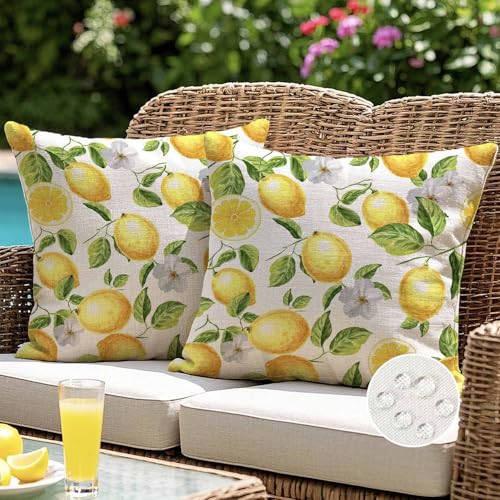 ViaElayu Housses Coussin 40x40 cm Extérieur Imperméable Printemps Été Jaune Citrons Moderne Decoration Canapé Coussin décoratif pour Salon de Jardin...