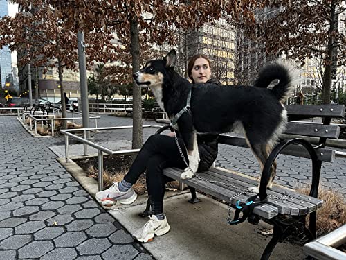 Outdoor Adventure Dog Leash Tether (Blue) - Image 6