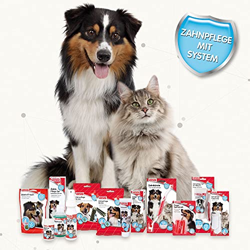 Beaphar Zahngel - Für Hunde und Katzen - Mit Leber-Geschmack - Zahnpflege ohne Zahnbürste - 100 g (Packung mit 2)