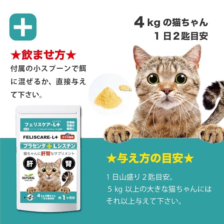 Amazon.co.jp: FELISCARE-L+ フェリスケア-L+ 猫用プラセンタ 猫