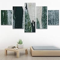 SIGNWIN 5 Panel Canvas Wall Art Abstract Aerial Contemporary Mixed Media Modern Art Multicolor Texture for Home Decorations Ready to Hang - 60
