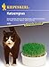 Produktbild Kiepenkerl Katzengras
