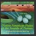 NATIVE AMERICAN FLUTES & SOUNDS OF NATURE (Relaxing Native American Flute & Nature Sounds for Massage, Sleep, Spas & Yoga)