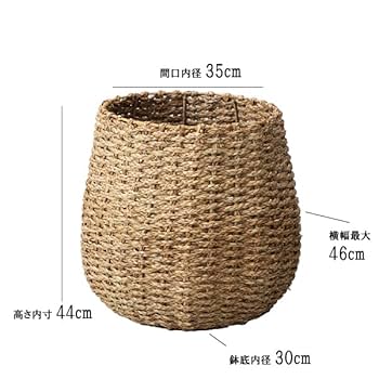 51pmXRrsNzL._UF350,350_QL80_.jpg