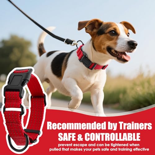Image of Martingale Dog Collar, Reflective No Pull with Buckle, Red, S | Escape Proof without choking ,Training Collar with Quick Release Buckle, Adjustable Heavy Duty Nylon collars for S M L Dogs