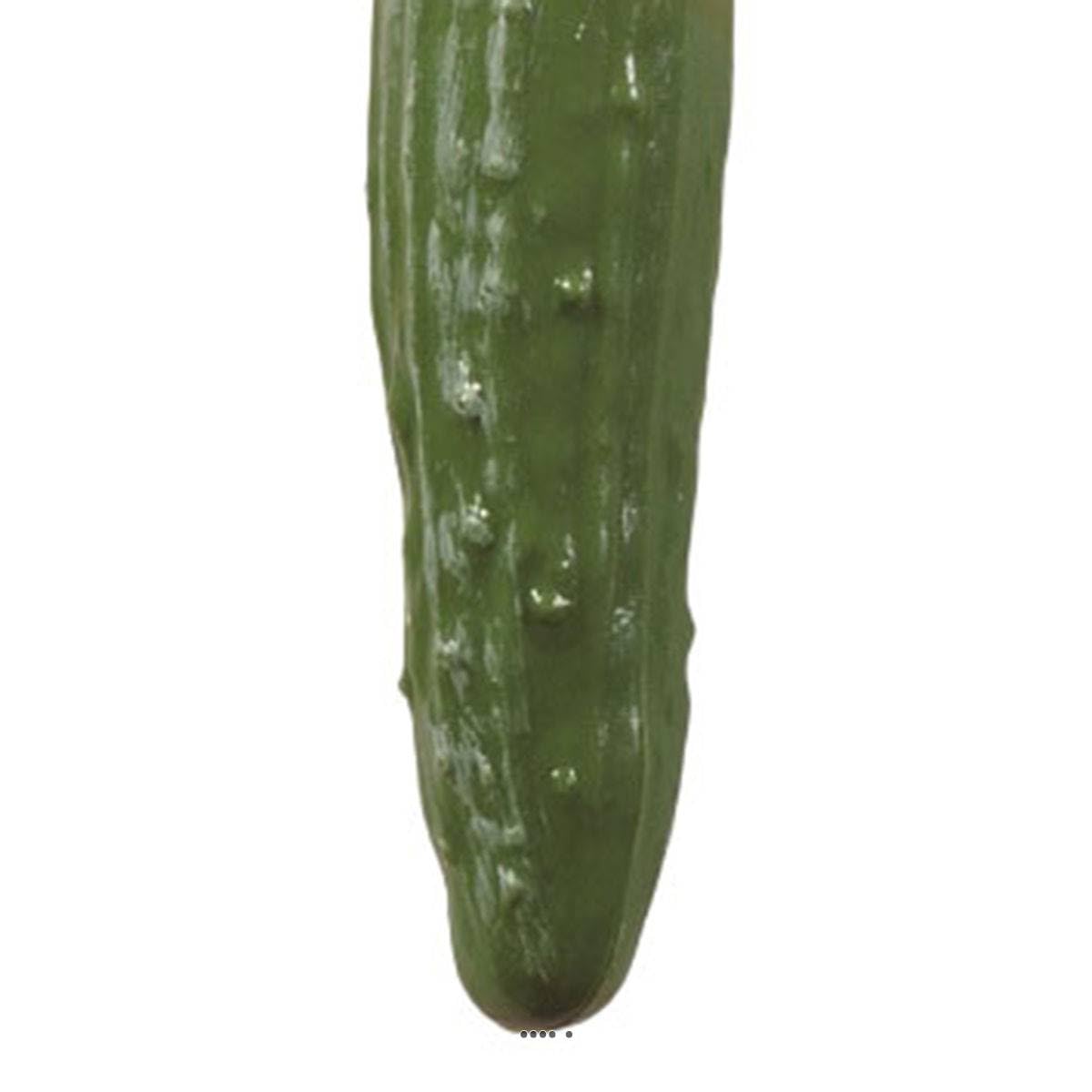 Cetriolo Verde Artificiale in Confezione da 3 in plastica soffiato L 180 x 50 mm