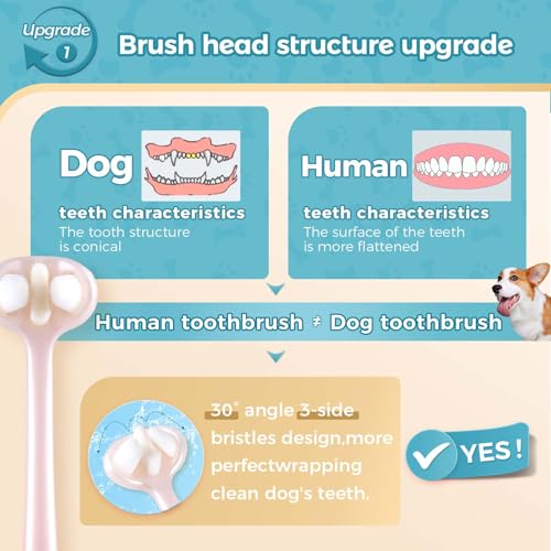 Gluckelk Pacote com 2 escovas de dentes para cães com 3 lados, escovas de dentes para filhotes com t