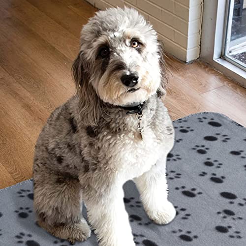 4Pcs Pet Blanket for Small Dogs Cats Soft Puppy Blankets Washable Pet Fleece Blankets with Paw Print - Image 5