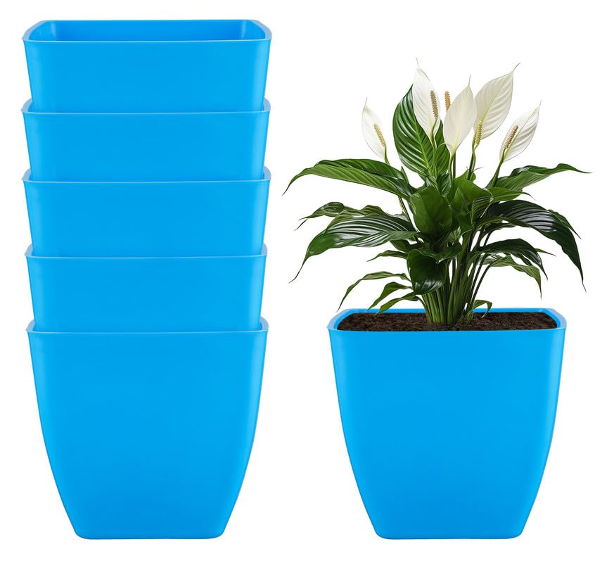 See full amazon price history chart for GREENRI CUBY 5 Inches (Pack of 5) Heavy Duty Plastic Planters Pots, UV Resistant Flower Pot for Indoor & Outdoor Use, Flawless Planters Pot Set for Home, Living Room, Balcony & Garden Décor (Blue) GREENRI CUBY 5 Inches (Pack of 5) Heavy Duty Plastic Planters Pots, UV Resistant Flower Pot for Indoor & Outdoor Use, Flawless Planters Pot Set for Home, Living Room, Balcony & Garden Décor (Blue) (B0D3HGYJVX) Amazon Price History, Amazon Price Tracker