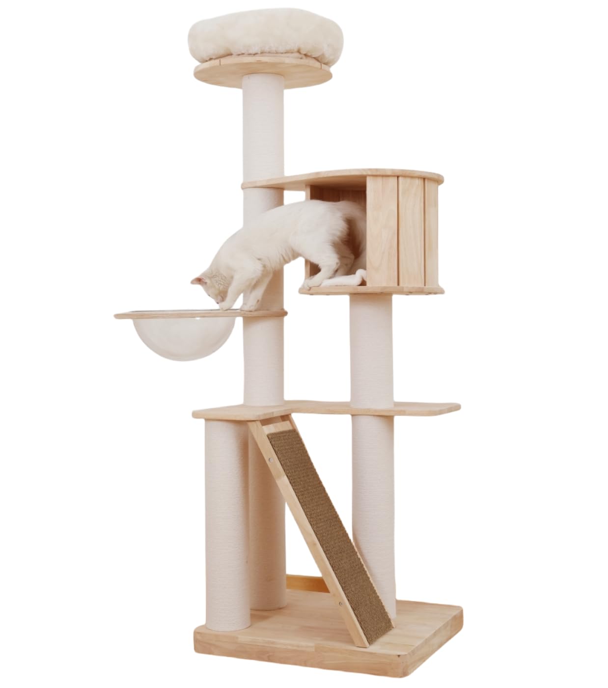 Felivecal 65" Modern Tall Cat Trees for Large Cats, Wooden Cat Tower Condo for Indoor Cats with Hammock & Thickened Scratching Posts & Washable Cushions, Transparent Hamock beds?Multi-Level Large Cat