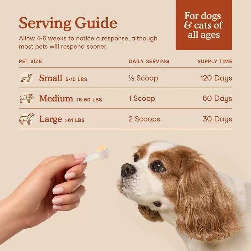 Probiotici biologici per cani e gatti, integratore intestinale | Con 12 ceppi e 5 miliardi di CFU per immunità, energia e supporto digestivo intestinale
