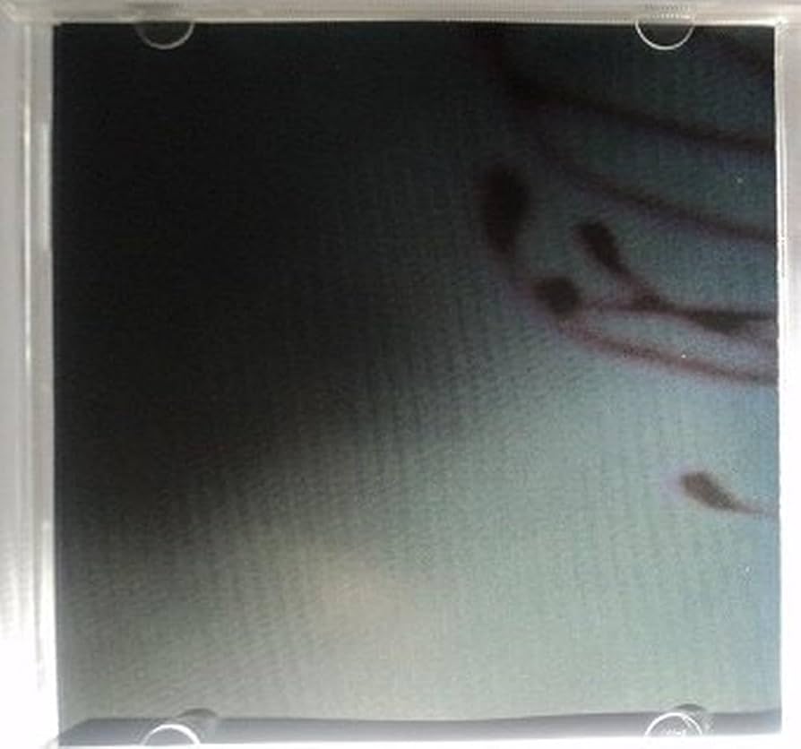 Things Fall Apart /ナイン・インチ・ネイルズ：LPレコード Things Fall Apart /ナイン・インチ・ネイルズ：LPレコード