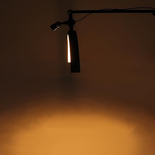 Miniatura 6 de Lámpara de media luna para extensión de pestañas, lámpara LED de pie regulable para cuidado de la piel de belleza, luz de tatuaje, lámpara Pmu con