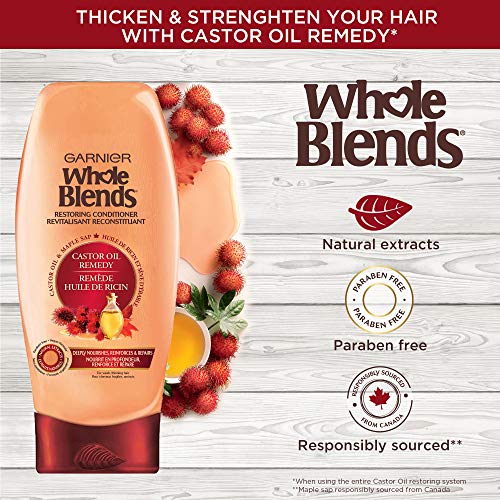 Garnier Whole Blends Restoring Conditioner Maple Remedy, For Dry, Damaged Hair, 12.5 Fl. Oz. #TOP3