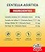 Centella asiatica (complex) 400 mg. (ext. seco) 60 comprimidos