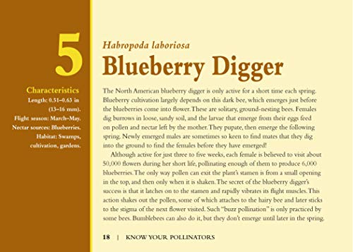 Know Your Pollinators (Old Pond Books) 40 Common Pollinating Insects including Bees, Wasps, Flower Flies, Butterflies, Moths, & Beetles, with Appearance, Behavior, & How to Attract Them to Your Garden - Image 8