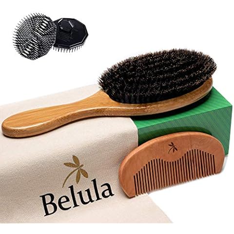 Premium Boar Bristle Hair Brush for Men Set. 100% Boar Bristle Brush and Wooden Comb for Men. Free 2 x Palm Brush & Travel Bag Included. Hairbrush for Thin, Normal and Short Hair Cover