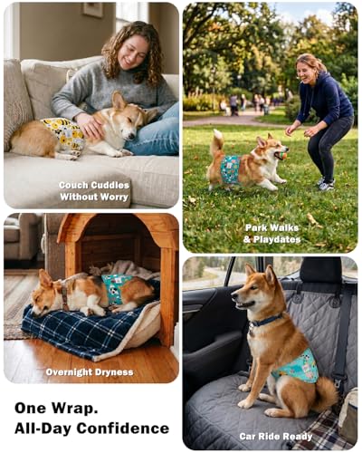 Image of CuteBone Dog Diapers Male Belly Bands 3 Pack for Male Dogs Reusable Puppy Wraps