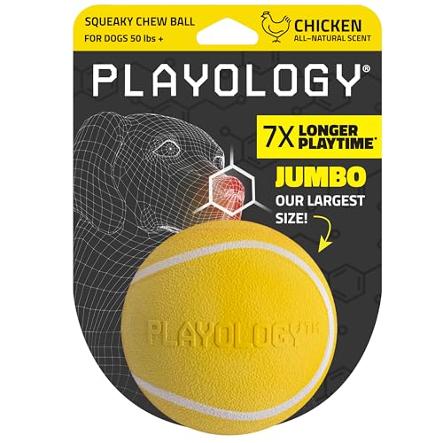 Playology Dog Toys | Squeaky Chew Ball - Bouncy Durable Floating Fetch Ball for Dogs | Jumbo Chicken Scented Toy - Easy to Clean and Made from Non Toxic Materials
