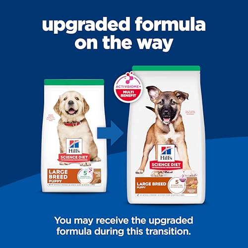 Hill's Science Diet Puppy Large Breed Lamb Meal & Brown Rice Recipe Dry Dog Food, 30 lb. Bag - Image 3