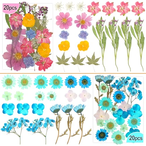Image of 120 PCS Real Pressed Flowers, Natural Dried Pressed Flowers for Resin, Dried Florals Dry Flowers Leaves Kit with Tweezers for Scrapbooking DIY Art Crafts, Mother's Day Birthday Gift