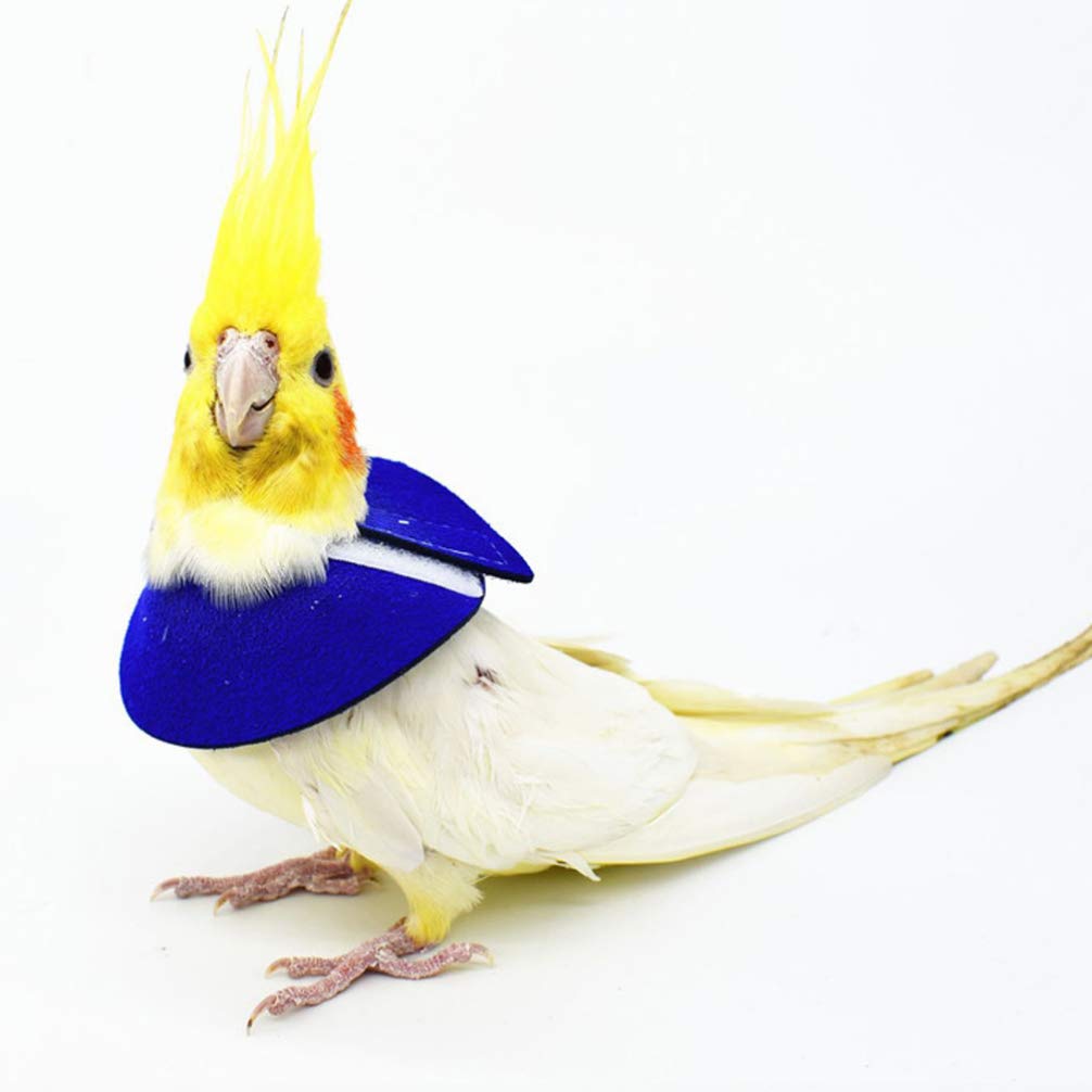 ULTECHNOVO Collar De Recuperación para Pájaros Pequeños Ajustable Anti Mordeduras Y Anti Lamidos para Loros Protector De Cuello para Cuidado Y Recuperación De Lesiones 4 Piezas