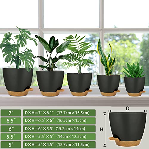 El mejor review de Gravilla volcánica en jardineras más recomendados. 16 Imagen adicional
