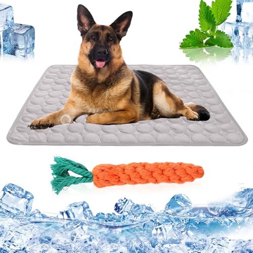 AZVFLY Kühldecke Hund Waschbar Kühldecke Katzen: Ungiftig Kühlkissen für Haustiere Faltbar Kühlmatte Hund Schlafplätze & Möbel für Hunde im Sommer (70 * 55CM-Grau)
