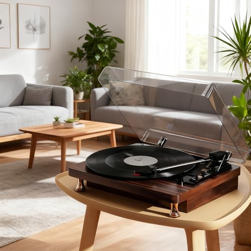 Retro Phonograph Vintage Gramophone with Speakers Can Link Bluetooth and USB Stick Stereo Sound Black Eu-Type (B)