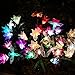 Doingart Outdoor Solar Garden Lights, 2 Pack Solar Powered Lights with Lily Flower, Hummingbird and Butterfly, Multi-Color Changing LED Solar Decorative Lights for Garden, Patio, Backyard