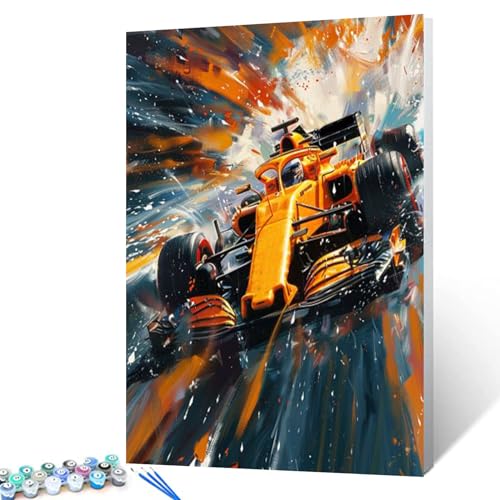 Aihonmin Racing DIY Paint by Numbers,Canvas Oil Painting Kits for Boys,16x20In Acrylic Oil Painting On Canvas, Racing Car in Motion Number Painting DIY Craft Kits for Home Room Decor (Frameless)