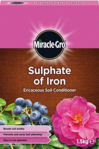 Miracle-Gro 2 x Sulphate of Iron Ericaceous Plant Food 1.5kg