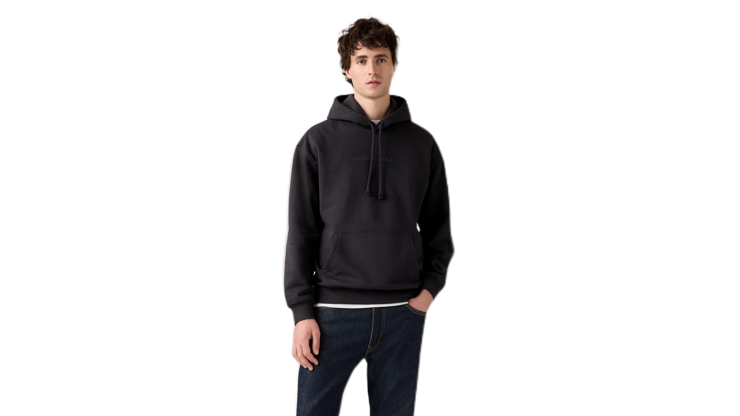 Levi's Relaxed Graphic Hoodies Sweatshirt Erkek