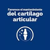 Ver la foto 2