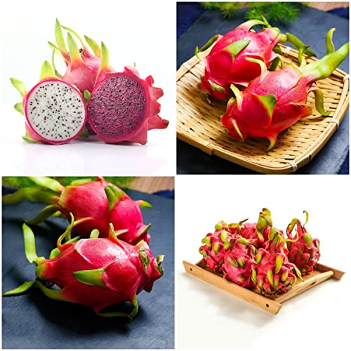 200 piezas semillas de fruta de dragón Pitahaya - serie de plantas raras - mezcla de frutas frescas...